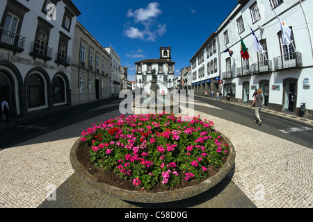 Großen Topf mit Blumen vor dem Rathaus von Ponta Delgada, Azoren. Stockfoto