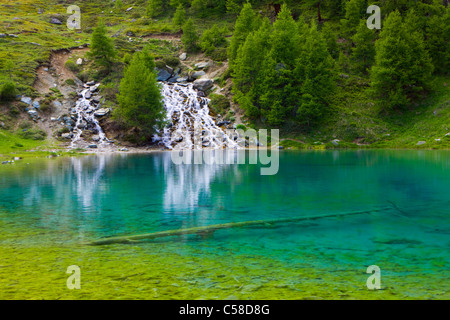 Schweiz, Europa, Kanton Wallis, Natur reservieren Lac blaue, Val d'Hérens, See, Farbe, Bach, Frühling, Quelle, Bäume, Lärchen Stockfoto