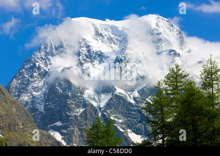 Mont Collon, Schweiz, Europa, Kanton Wallis, Naturpark Val d'Hérens, Berg, Schnee, Eis, Wolken, Bäume, Lärchen Stockfoto