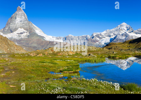 See-Riffel, Schweiz, Europa, Kanton Wallis, Mattertal, See, Meer, See, Rasen, Baumwolle Gräser, Sumpf, Berg, Matt Stockfoto