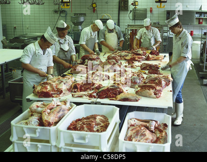 Lehrling, Lehrlingsausbildung, Metzger, Wirtschaft, Bildung, Nahrung, Lebensmittel, Industrie, lernen, Männlich, Mann, Fleisch, Besetzung, nur Männer, Stockfoto