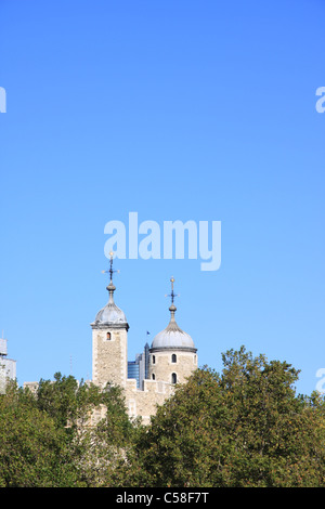 Großbritannien, England, UK, Vereinigtes Königreich, London, Reisen, Tourismus, Brücke, Bäume, Turm, Stockfoto