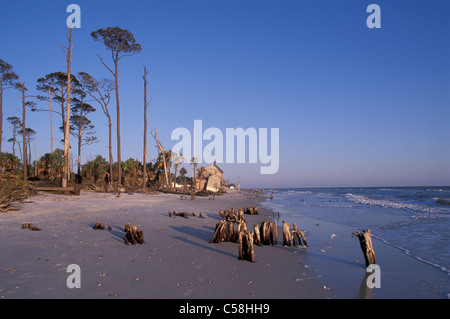 Gulf Coast, Florida Panhandle, Florida, USA, Vereinigte Staaten von Amerika, Amerika, Strand, Sand, Meer Stockfoto