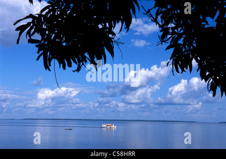 Boot, Amazonas, Ilha do Marajó, Amazonas-Delta, Amazonien, Brasilien, Südamerika, Wasser Stockfoto