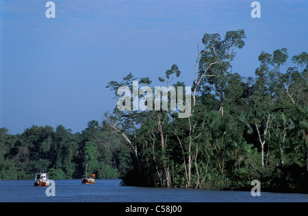 Boote, Amazonas, Ilha do Marajó, Amazonas-Delta, Amazonien, Brasilien, Südamerika, Fluss, Tropenwald Stockfoto