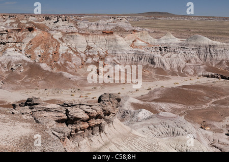 Petrified Forest National Park, Arizona, USA, USA, Amerika, Landschaft, braun Stockfoto