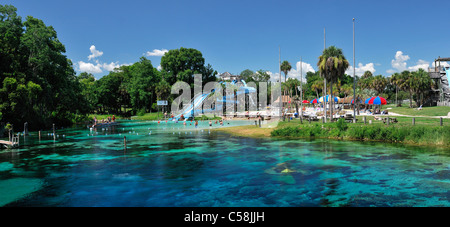 Weeki Wachee, Frühling, Wasser-park, Weeki Wachee Springs State Park, Wasser, Florida, USA, USA, Amerika, Besucher, Touri Stockfoto