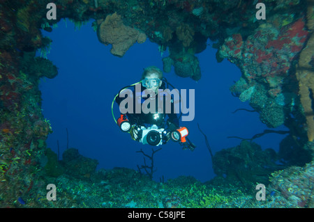 Eine Fotografin mit einem Kameragehäuse und Blitze schwimmen durch einen Bogen in Little Cayman. Stockfoto