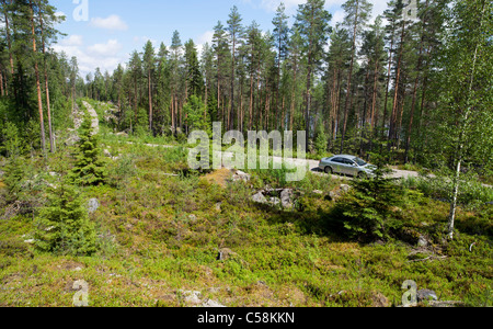 Auto auf Holzfällerstraße mitten im Taiga-Wald, Finnland Stockfoto