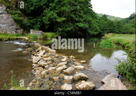 Fluss Taube Dovedale Derbyshire England uk Stockfoto