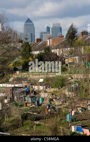 Kleingärten in der Nähe von den Docklands von London, England. Stockfoto