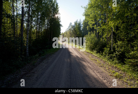 Enge leere Waldstraße in finnischer Landschaft, Finnland Stockfoto