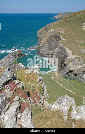 Backways Cove und Dennis Punkt Cornwalls Atlantikküste südlich von Trebarwith Strand Stockfoto