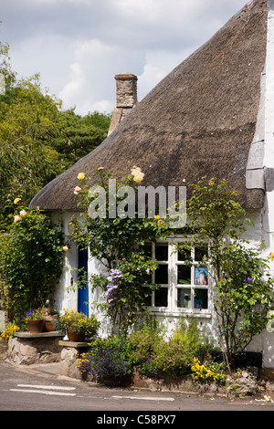 Englisches Cottage mit Rosen rund um die Tür, nunney Somerset England Großbritannien Stockfoto