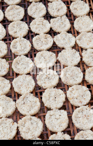 Reiskuchen Trocknung unter der Sonne, Laos Stockfoto