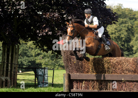 Henbury Hall Horse Trials 2008 Stockfoto