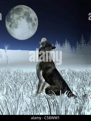 Wolf den Vollmond anheulen Stockfoto