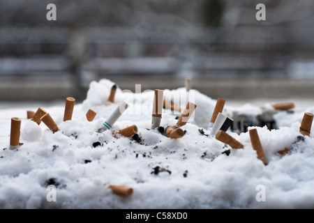 Eine Reihe von Zigarettenstummel gerodet im Schnee auf einer Mülltonne Stockfoto