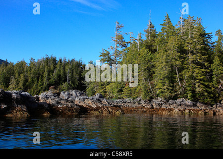 Ruhigen Gewässern des Barkley Sound in der gebrochenen Inselgruppe an einem Sommerabend. Insel-Gruppe Stockfoto