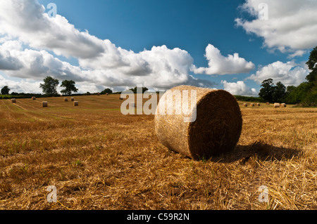 Stroh Rundballen in einem Feld der geerntete Weizen mit Sommerwolken oben in der Nähe von Ravensthorpe in Northamptonshire, England Stockfoto