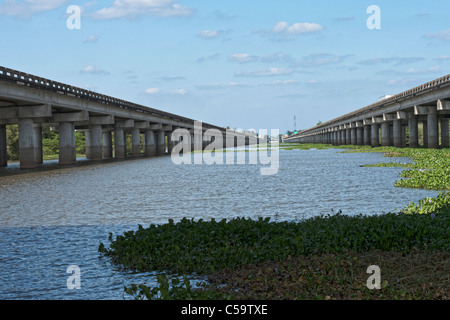 Atchafalaya River Sümpfen in der Nähe von McGee Landung, Louisiana Stockfoto