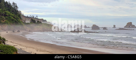 Neblig Indian Beach im Ecola State Park in Oregon Küste-Panorama Stockfoto