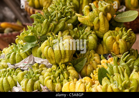 Buddhas Hand Citrons, Nguyen Thien Thuat St, in der Nähe von Cho Dong Xuan Markt, Altstadt in Hanoi, Vietnam Stockfoto