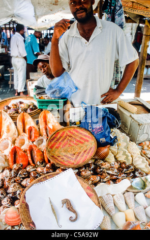 Seepferdchen und Muscheln auf Verkauf in Dar e Markt Salaam, Tansania. Stockfoto