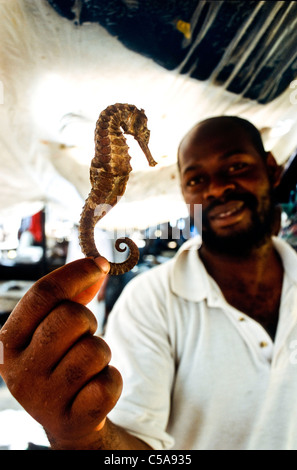 Seepferdchen und Muscheln auf Verkauf in Dar e Markt Salaam, Tansania. Stockfoto