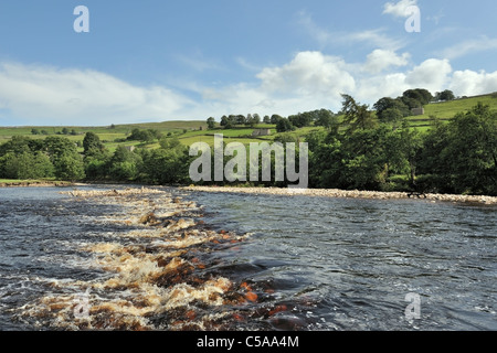 Turbulenter Fluss Swale Rauschen durch ikonische Swaledale Landschaft, Yorkshire, England Stockfoto