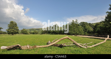 Flut-Ablagerungen durch die mächtigen Fluß Senke, North Yorkshire, England Stockfoto