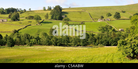 Ikonische Ausblick über Swaledale, North Yorkshire, England Stockfoto