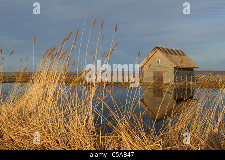 Fischerhütte am Suitsu Fluss, Matsalu Natur Reserve, Estland, Europa Stockfoto