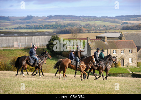 Arbeit Fahrer trainieren Rennpferde in einem Stall in Gloucestershire UK Stockfoto