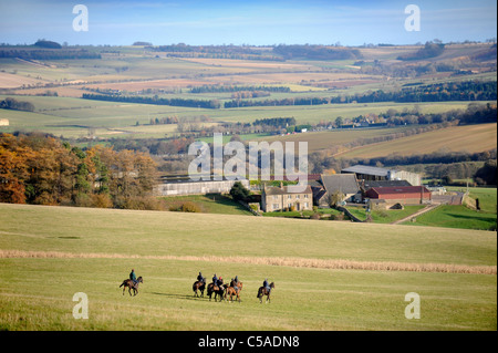 Arbeit Fahrer trainieren Rennpferde in einem Stall in Gloucestershire UK Stockfoto