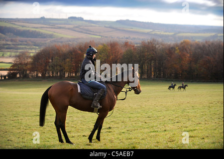 Arbeit Fahrer trainieren Rennpferde in einem Stall in Gloucestershire UK Stockfoto