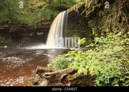 Scwd Gwladys Wasserfall im Sommer, Powys, Mid Wales, UK Stockfoto