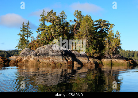 Insel in geschützten Gewässern in Broken Island Gruppe Vancouver Island BC Kanada. Barkley Sound. Stockfoto