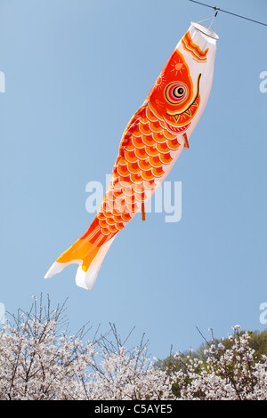 Japanische Karpfen Drachen, Dekoration am Tag des Kindes Stockfoto