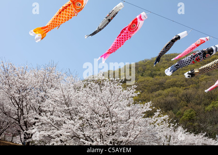 Japanische Karpfen Drachen, Dekoration am Tag des Kindes Stockfoto