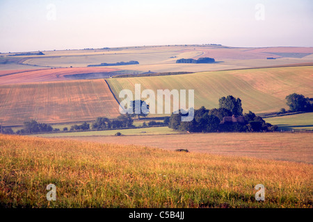 West Kennet Long Barrow Wiltshire England Uk gesehen in Rolling chalk Landschaft von Wade Hügel Stockfoto