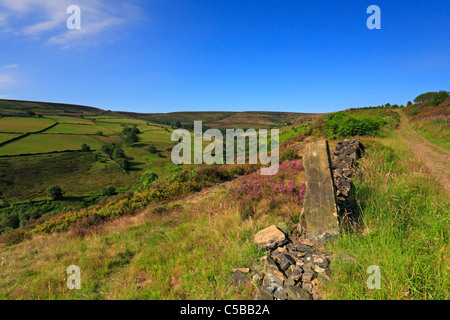 Royd Rand Clough über Meltham in der Nähe von Holmfirth, West Yorkshire, Peak District National Park, England, UK. Stockfoto