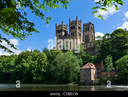 Durham Kathedrale am Ufer des Flusses Wear, Durham, County Durham, North East England, UK Stockfoto