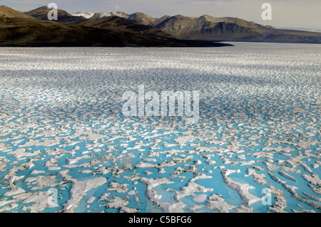 Blaue Schmelze Pools wieder einfrieren auf dem McMurdo-Schelfeis in der Nähe der Dry Valleys in der Ross-Meer-Antarktis Stockfoto