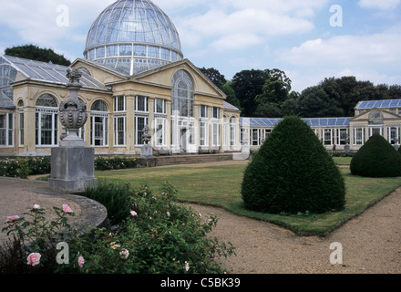 Großer Wintergarten Syon Park Isleworth, Middlesex Outer London Stockfoto