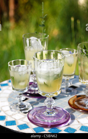 Limonade mit Kräutern Stockfoto