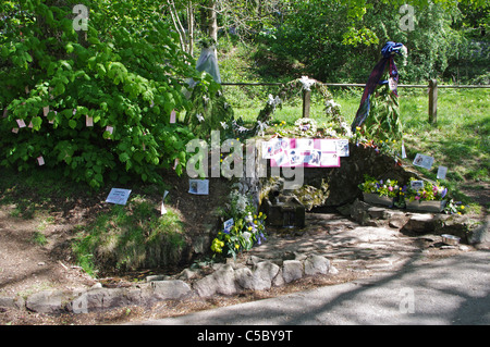 Evendine Frühling, Malvern. 2011 gut kleiden. Stockfoto