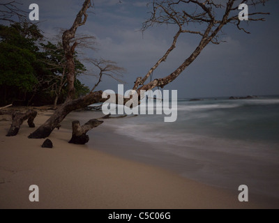 Red Frog Beach bei Nacht Panama Stockfoto