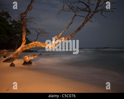 Red Frog Beach bei Nacht Panama Stockfoto