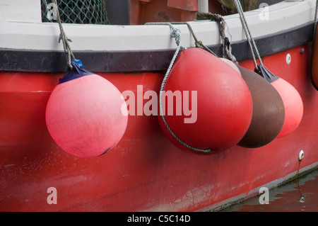 Red Rauszuschwimmen auf einem Boot bei Mevagissey in Cornwall, England Stockfoto